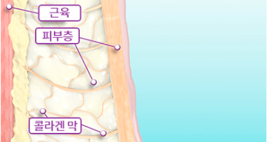ขั้นเพิ่มอุณหภูมิเริ่มต้น